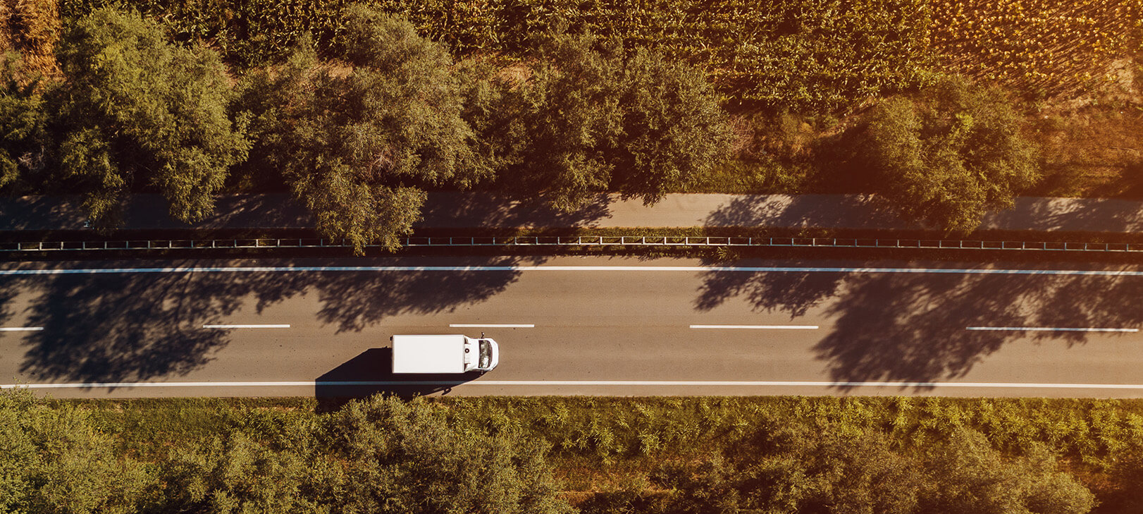 Ltl Top View
